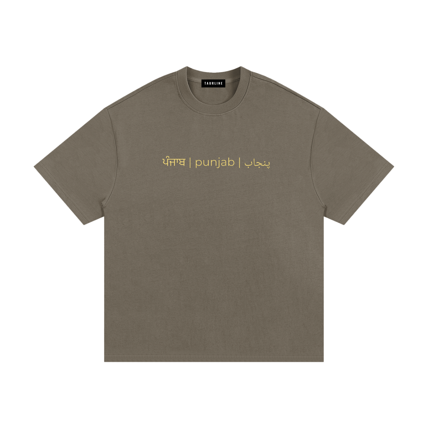 Sanjha Punjab T-Shirt