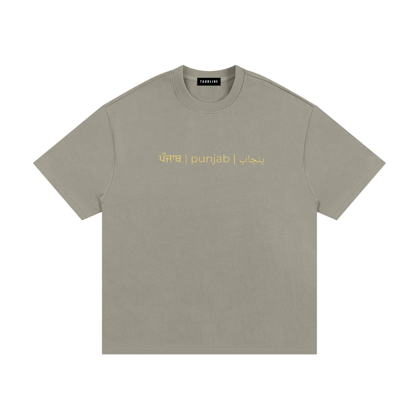 Sanjha Punjab T-Shirt
