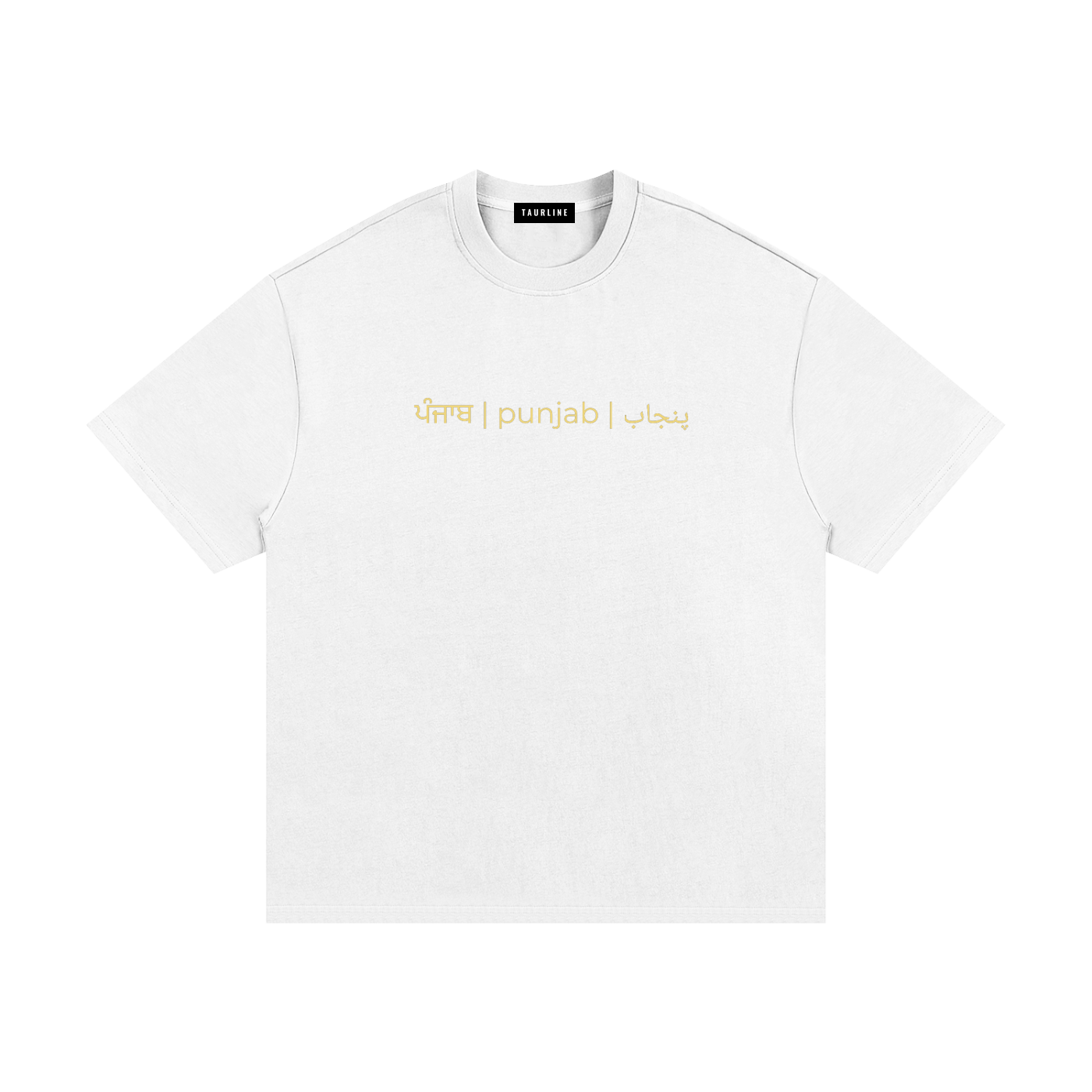 Sanjha Punjab T-Shirt