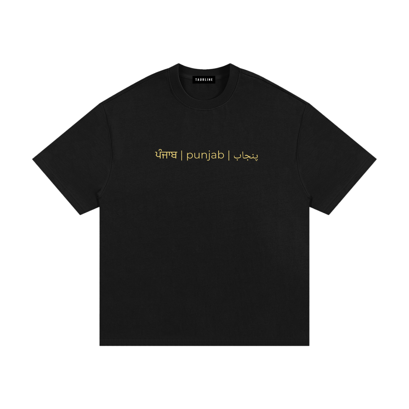 Sanjha Punjab T-Shirt