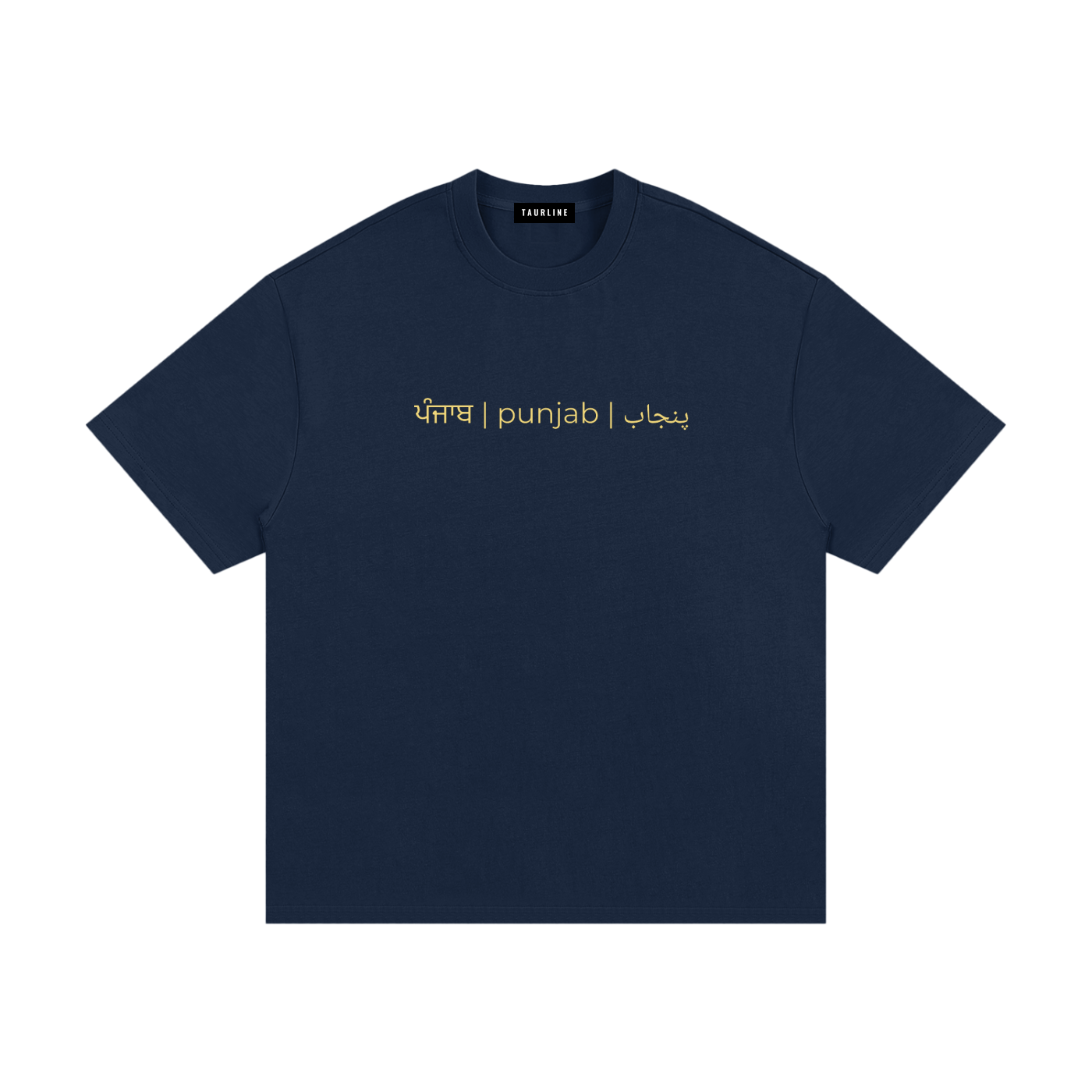 Sanjha Punjab T-Shirt