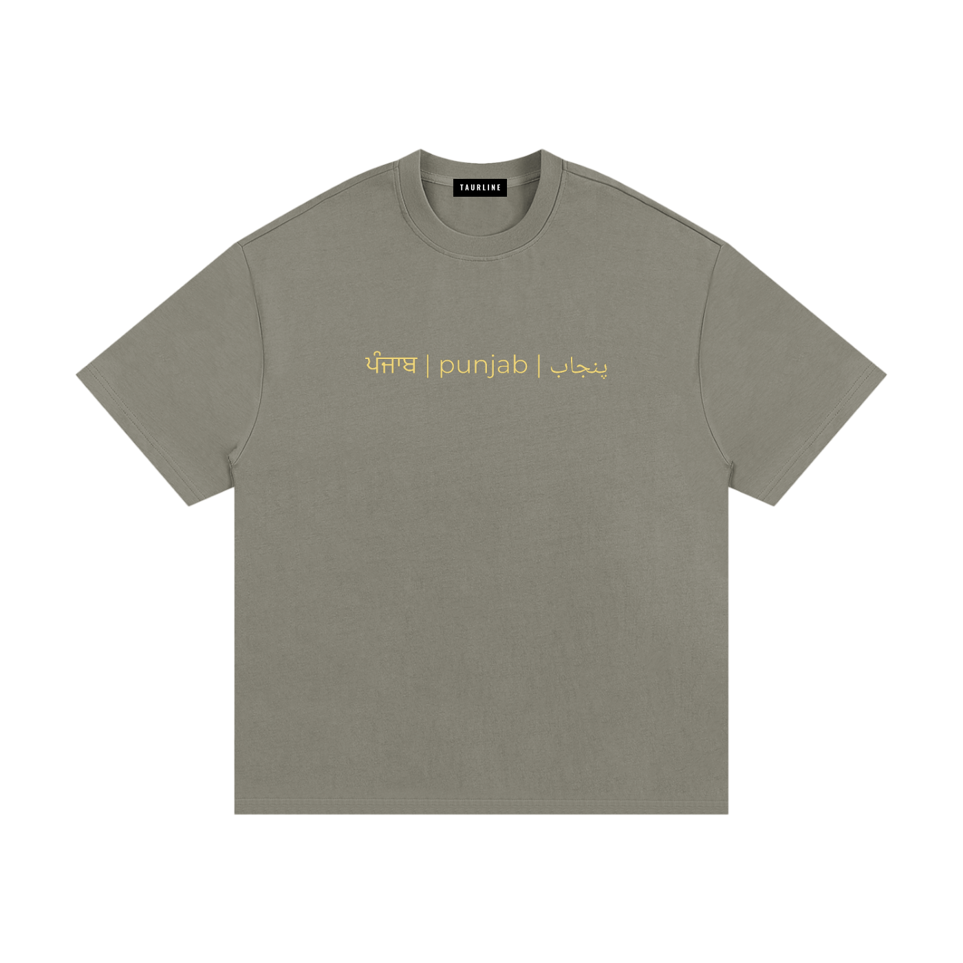 Sanjha Punjab T-Shirt