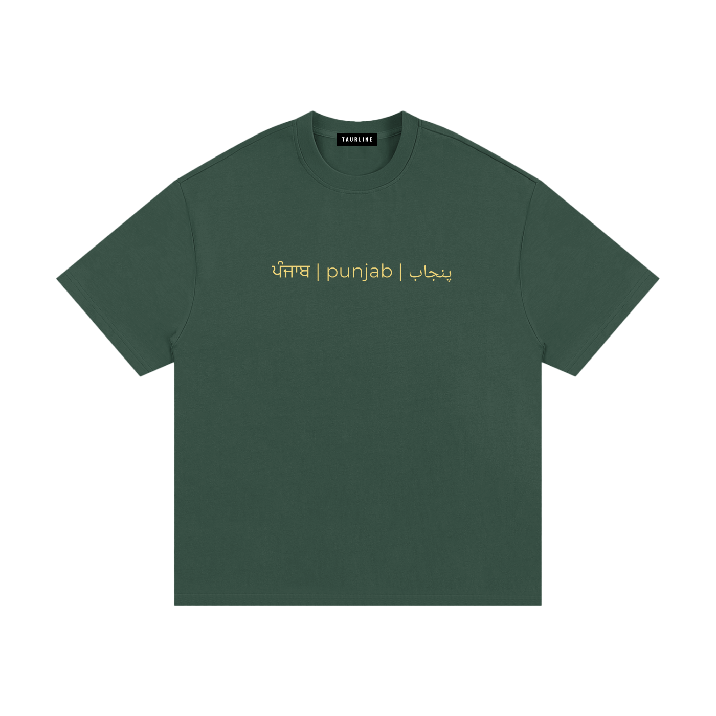 Sanjha Punjab T-Shirt